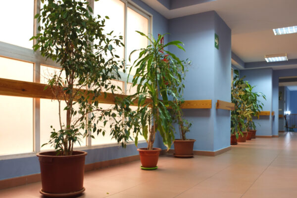 Centro de Día Conde Alyó