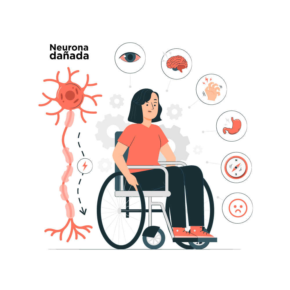 Centro de Día Conde Alyó